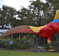 Gumbuya Park - Accommodation 4U