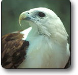 Kakadu National Park - Accommodation 4U