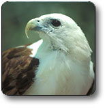 Kakadu National Park - Accommodation 4U 0