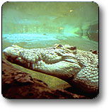 Kakadu National Park - Accommodation 4U 1