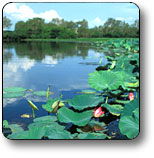 Kakadu National Park - Accommodation 4U 3