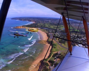 Tiger Moth World Adventure Park - Accommodation 4U 1