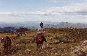 High Country Horses - Accommodation 4U 0