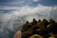 Jetboating Sydney - Accommodation 4U 1