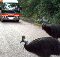 Kookaburra Tours - Accommodation 4U