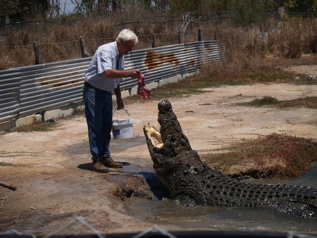 Koorana Saltwater Crocodile Farm - Accommodation 4U 1