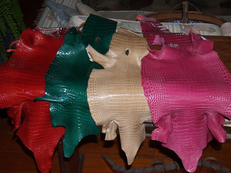 Koorana Saltwater Crocodile Farm - Accommodation 4U 2