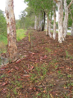 Kumbartcho Sanctuary - Accommodation 4U 1