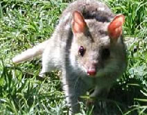 Fleurieu Peninsula SA Accommodation 4U