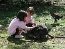 Urimbirra Wildlife Park - Accommodation 4U 1