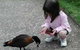 Urimbirra Wildlife Park - thumb 3