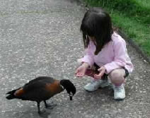 Urimbirra Wildlife Park - Accommodation 4U 3