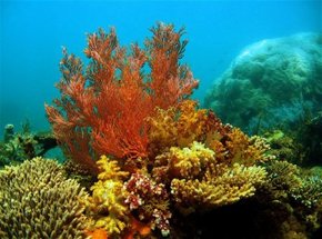 Learmonth WA Accommodation 4U