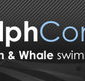 Dolphcom - Dolphin  Whale Swimming Adventures - Accommodation 4U