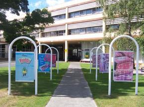 Cadbury Chocolate Factory Tour - Accommodation 4U 2