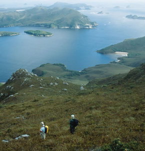 Roaring 40s Kayaking - Accommodation 4U 1