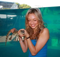 Crocosaurus Cove - Accommodation 4U