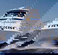 Sunshine Coast Fishing Charters - Accommodation 4U