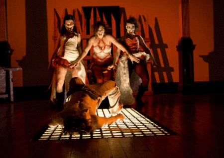 Zen Zen Zo Physical Theatre - Accommodation 4U 1