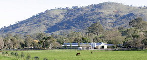 Blue Gum Farm - Accommodation 4U 1
