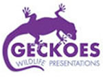 Geckoes Wildlife Presentations - Accommodation 4U 3
