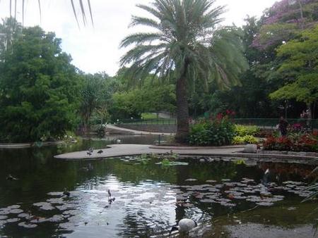 Brisbane City Botanic Gardens - Accommodation 4U 0
