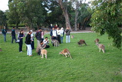 Caversham Wildlife Park - Accommodation 4U 2