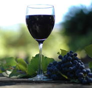 Lion Mill Vineyards - Accommodation 4U