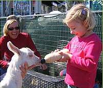 The Sun Herald Sydney Family Show - Accommodation 4U 2