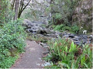 Stevensons Falls - Accommodation 4U 1