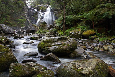Stevensons Falls - Accommodation 4U 2