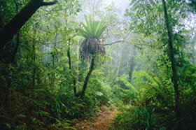 Ferny Glen QLD Accommodation 4U