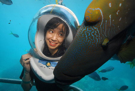 Sunlover Reef Cruises - Accommodation 4U 0