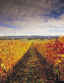 South Melbourne VIC Accommodation 4U