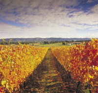 Link Tours - Accommodation 4U