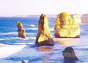 Bunyip Tours - Accommodation 4U 3