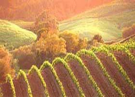 Meridian Tours - Accommodation 4U 2