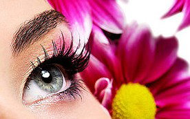 Glow Retreat - Accommodation 4U 5