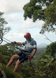 Adventures Around Brisbane - Accommodation 4U 0