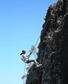 Adventures Around Brisbane - Accommodation 4U 1