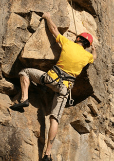 Adventures Around Brisbane - Accommodation 4U 3