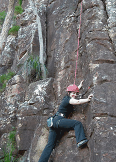 Adventures Around Brisbane - Accommodation 4U 4
