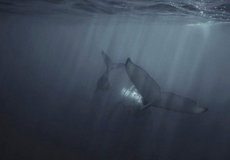 Eleven40 Gallery - Accommodation 4U 4