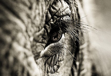 Eleven40 Gallery - Accommodation 4U 5