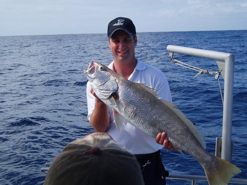 Blue Juice Charters - Accommodation 4U 1