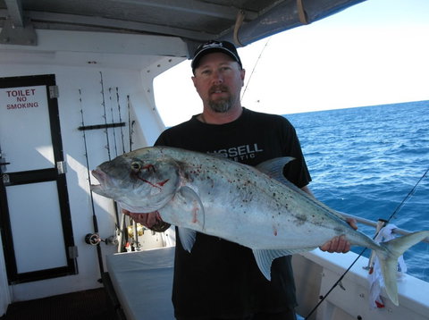 Blue Juice Charters - Accommodation 4U 3