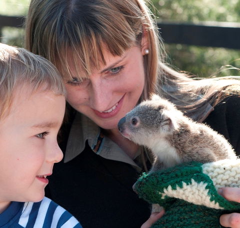 Australian Reptile Park - Accommodation 4U 1