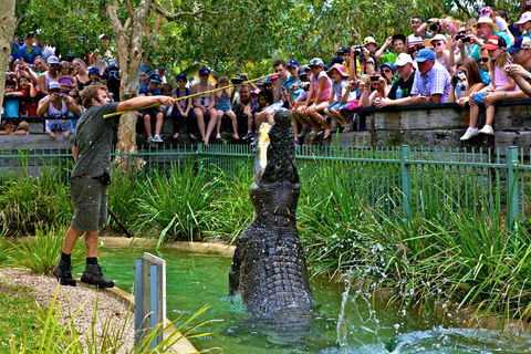 Australian Reptile Park - Accommodation 4U 4
