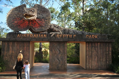 Australian Reptile Park - Accommodation 4U 5