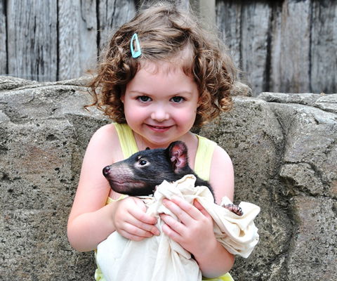 Australian Reptile Park - Accommodation 4U 8